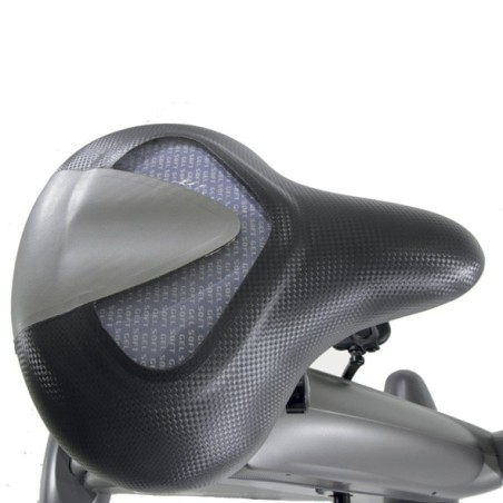 i.Carbon Bike Dual BH FITNESS