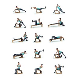 Tria Trainer Chêne 2