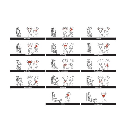 Multigym Plus Black BH FITNESS