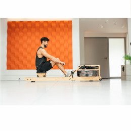 VR3 WATERROWER 2