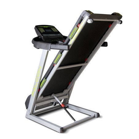 Falcon FITNESS DOCTOR